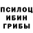Псилоцибиновые грибы Cubensis Driler