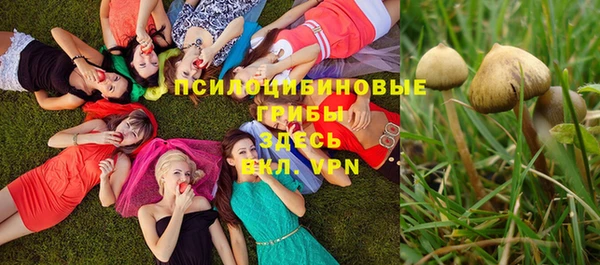 ГАЛЛЮЦИНОГЕННЫЕ ГРИБЫ Абинск