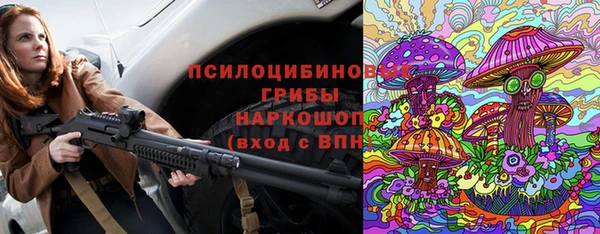 индика Алексеевка