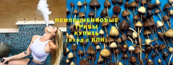 МДПВ Абаза